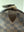 Louis Vuitton Speedy 30 in Damier Canvas